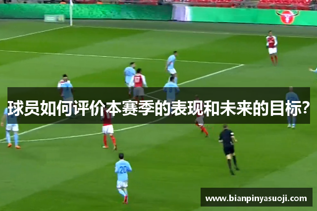 球员如何评价本赛季的表现和未来的目标？