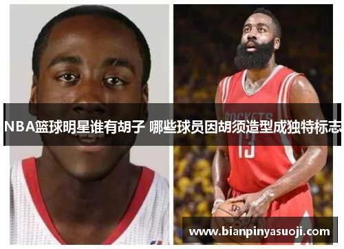 NBA篮球明星谁有胡子 哪些球员因胡须造型成独特标志